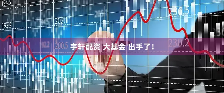 宇轩配资 大基金 出手了！