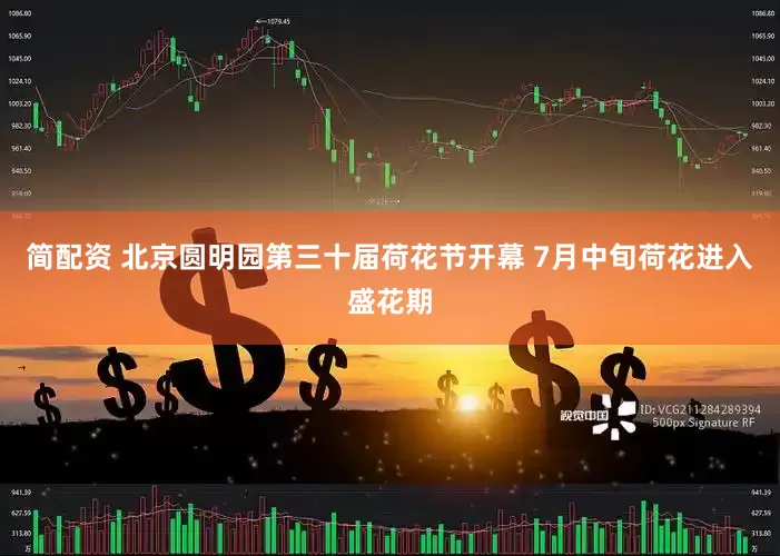 简配资 北京圆明园第三十届荷花节开幕 7月中旬荷花进入盛花期