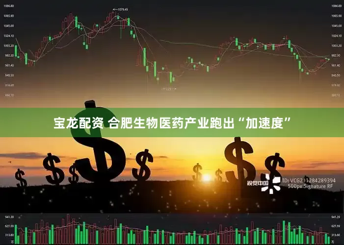 宝龙配资 合肥生物医药产业跑出“加速度”