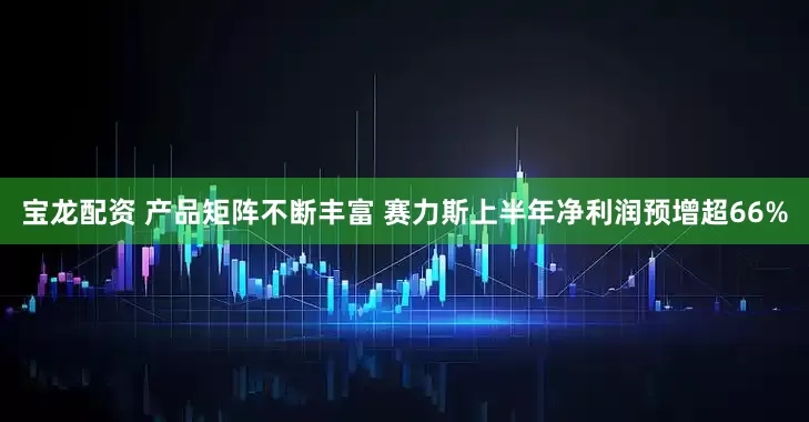 宝龙配资 产品矩阵不断丰富 赛力斯上半年净利润预增超66%