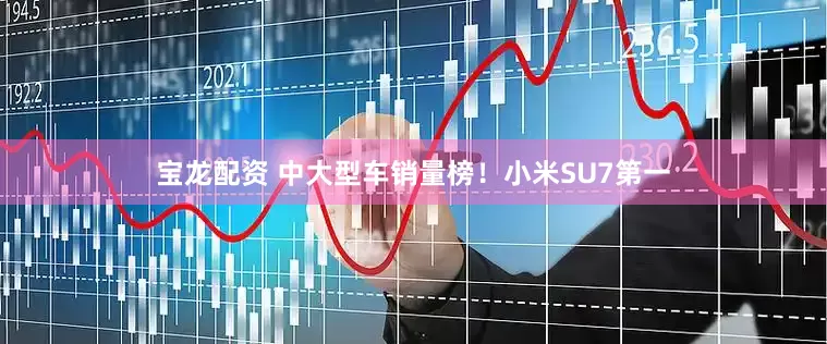 宝龙配资 中大型车销量榜！小米SU7第一